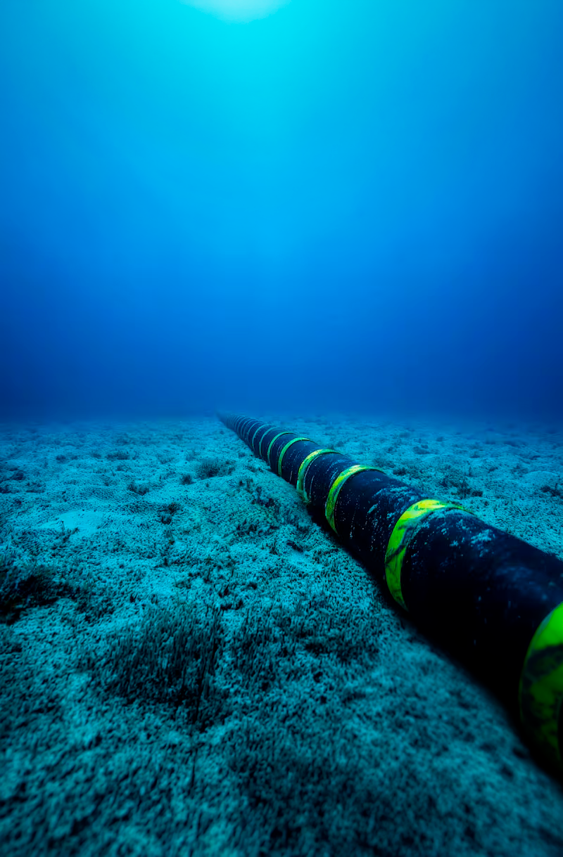 Un comité de inversiones estratégicas: La idea para blindar intereses de Chile en medio de la polémica por el cable chino